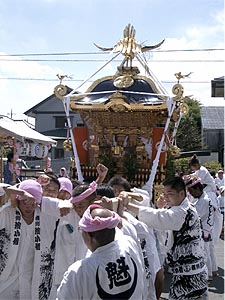 ����X�C�J�͖���