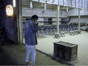 �X�C�J�l�ԁ����F��