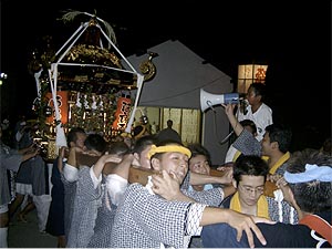 �}�T�g�N���M����