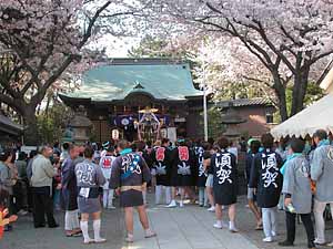 �������O