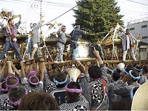 �����ł������܂�