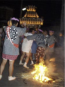 �{�_�`�̉Γn��