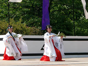 ���_�_�Лޏ�����