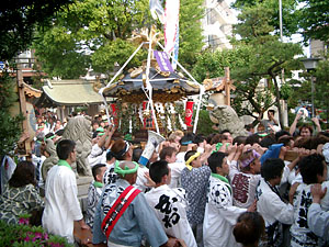 �{������