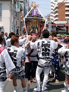 �_�`�N���񁕃V�Q�I�N