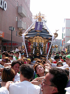 ������w�k����