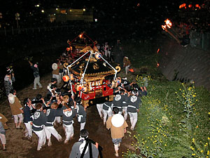 �쉺�蕗�i�S