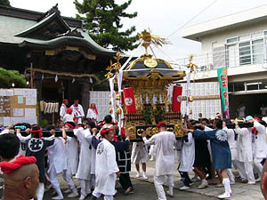 �����ɂĂP