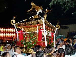 ���悢�拫����