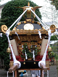 �������Y�i����