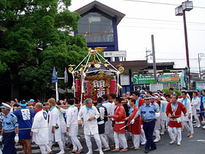 �i�q���͐� ����w