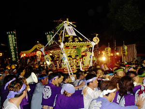 �{�����i�P