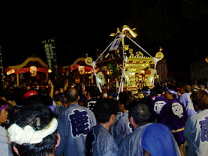 �{�����i�Q