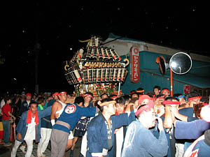 �{���O�̖͗l�P