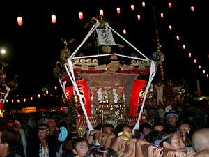 �V�������