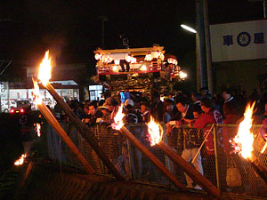 �쉺�蕗�i�P