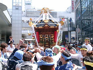 �r�Q�r����