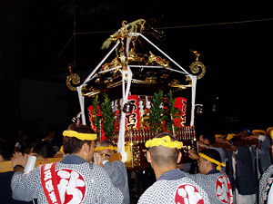 �V�� ����ʋ�y��