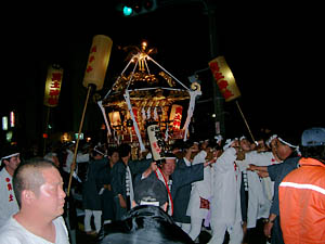 �䗷������