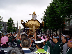 ����n�����O