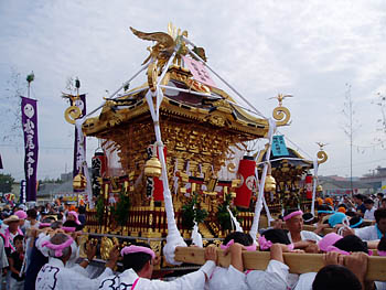 ���т₩��