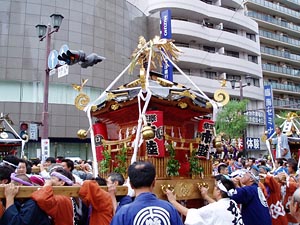 �k���n��P