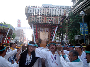 �V������񁗉�