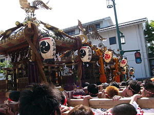 ���c����