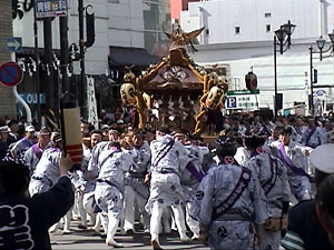 ���c�����R