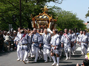 ���{���_�ИA����Q