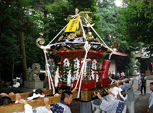 ���I�ړn��P