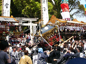 ���_�` �{�o���Q