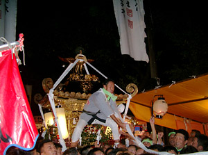 �u���̍j�i�ł�̂ȁj�v�P