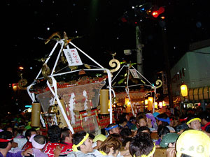 �p���[�h���i�T