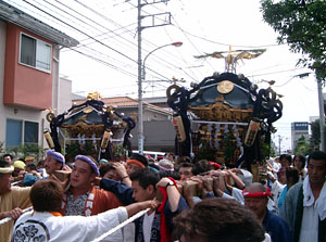 �_�����O�R