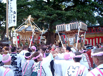 �{�_�`�Ɩ����_�`�̋���