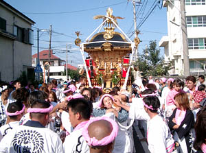 �T�`����񁗉�