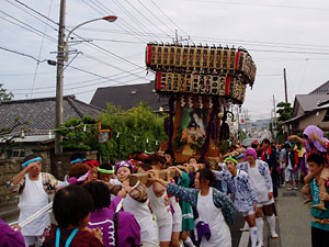 �L�~����񁗉�