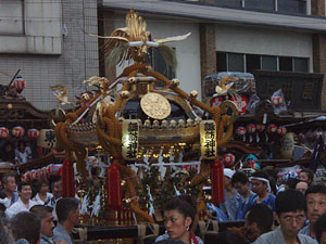 �������O