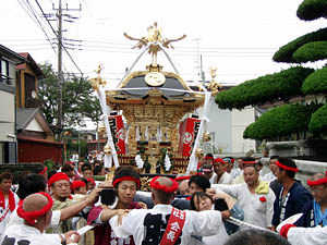 �{���������i�R