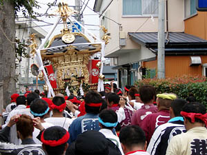 �{���������i�S