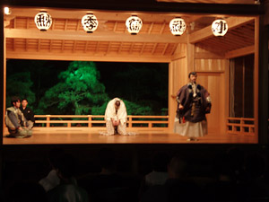 �_�y�a�̗l�q