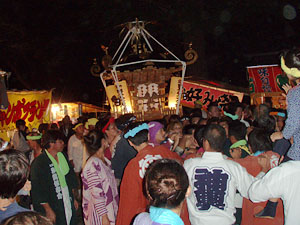 �_�Ћ�����