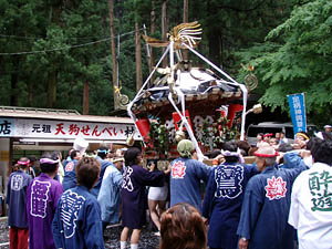 �y�Y�������i�Q