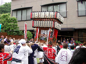 ����������P