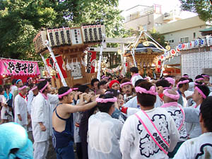 �{�����i�P