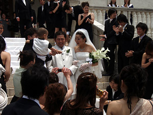 �t�����[�V�����[�Q