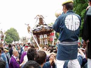 �����q ������