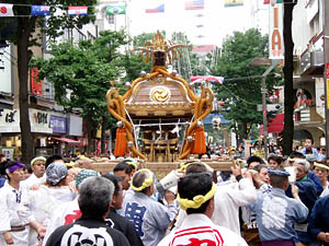 �����������