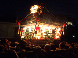 �m�[�X�g���{